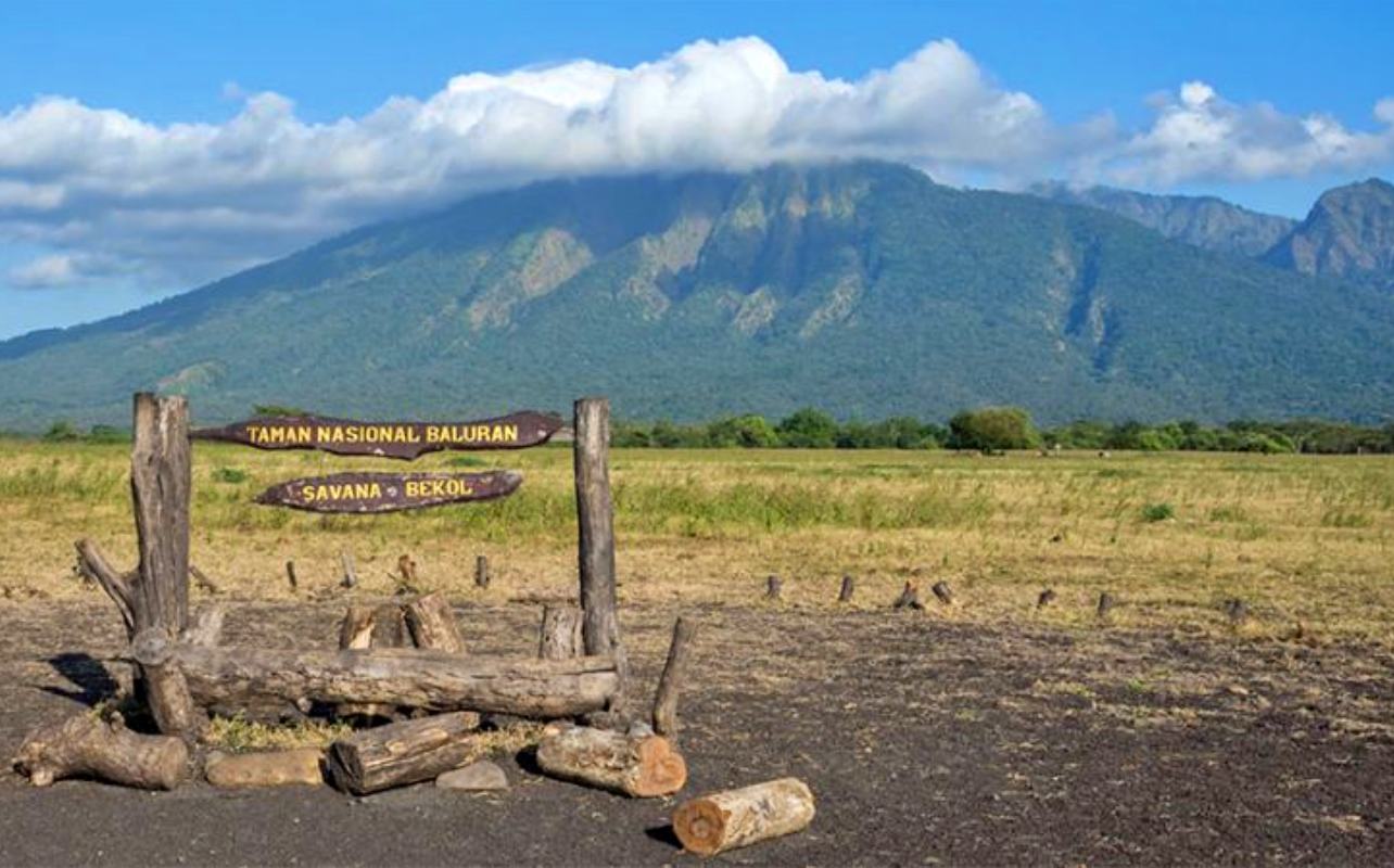 baluran national park