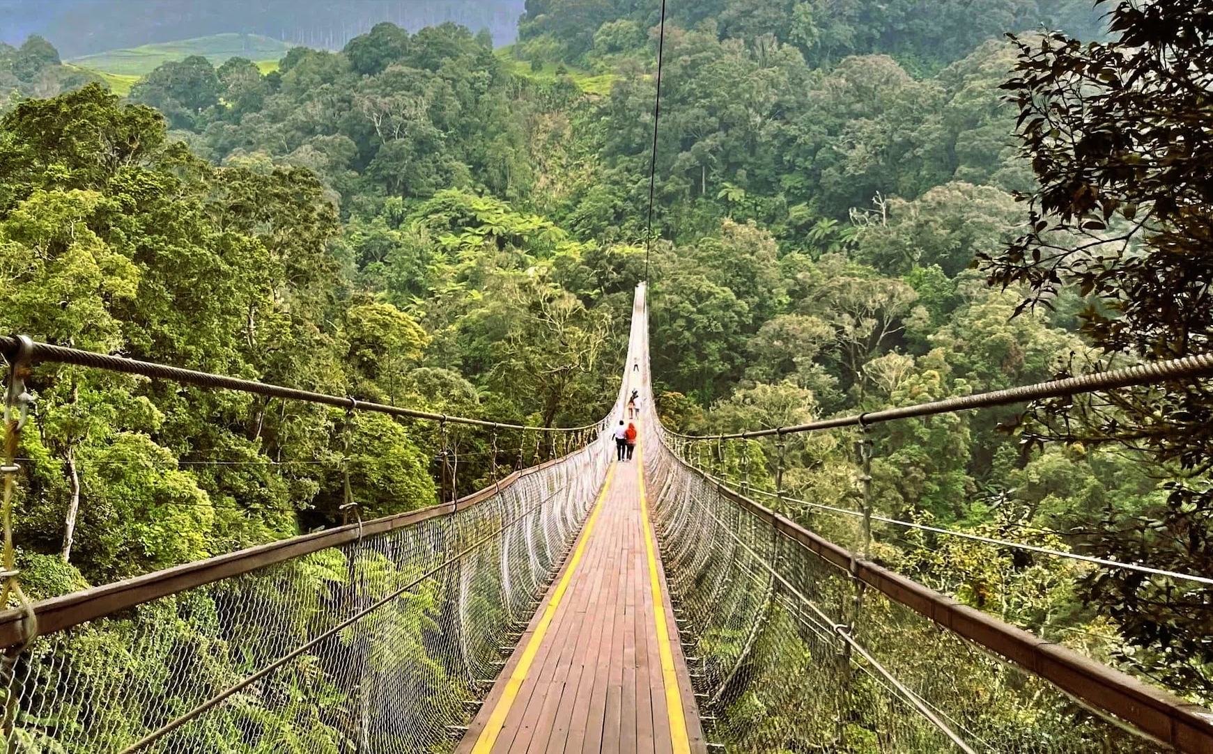 rengganis suspension bridge
