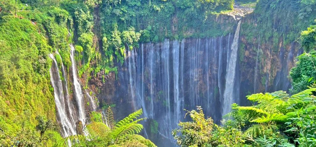 surabaya bromo ijen kalibaru 5 days